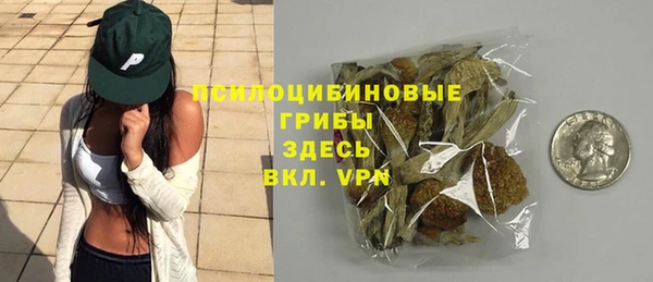 спиды Богданович