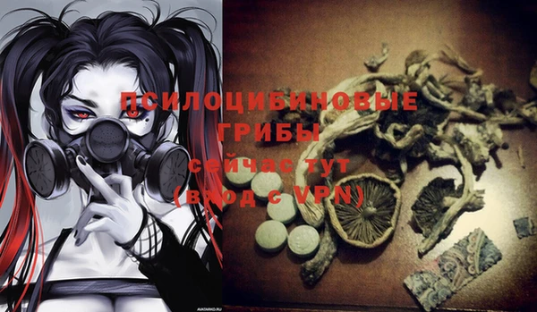 марки lsd Богородск